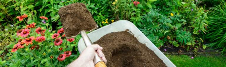 How Often To Fertilize Your Vegetable Garden A Complete Guide