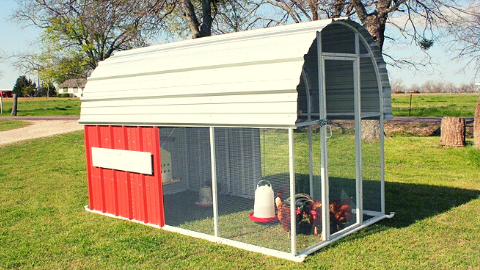 The Benefits of Metal Chicken Coops: Why You Should Consider One for Your Flock