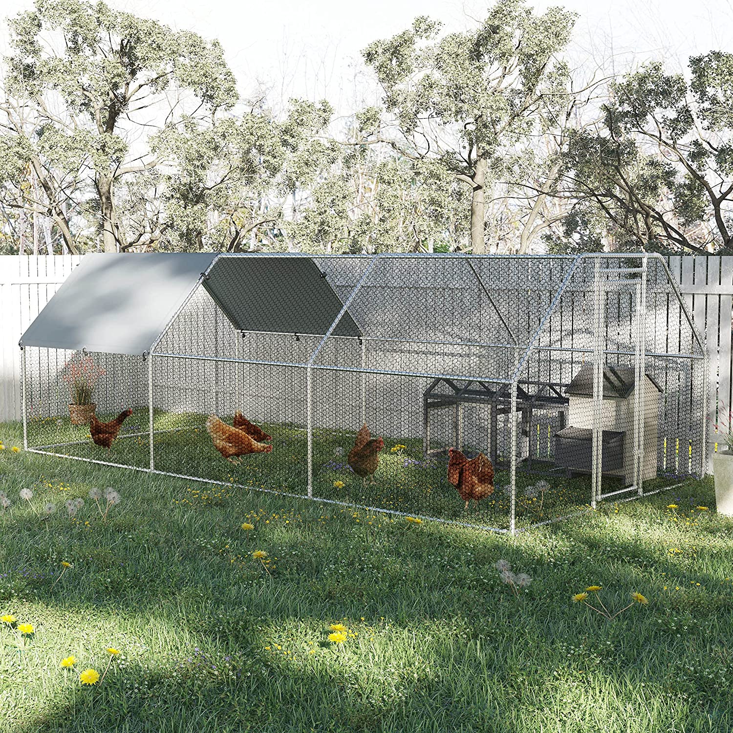 The 3 Best Metal Chicken Coops for Backyard Chickens Becs Backyard