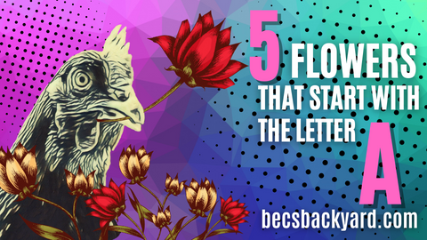 5 Alluring Flowers That Start with the Letter A
