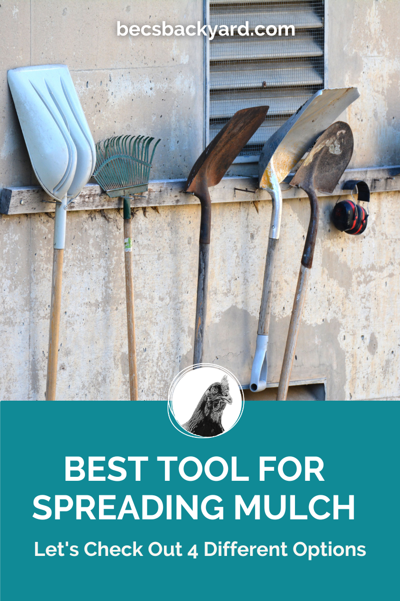 Best Tool for Spreading Mulch 4 Great Options
