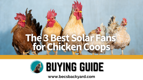 The 3 Best Solar Powered Fan for Chicken Coops