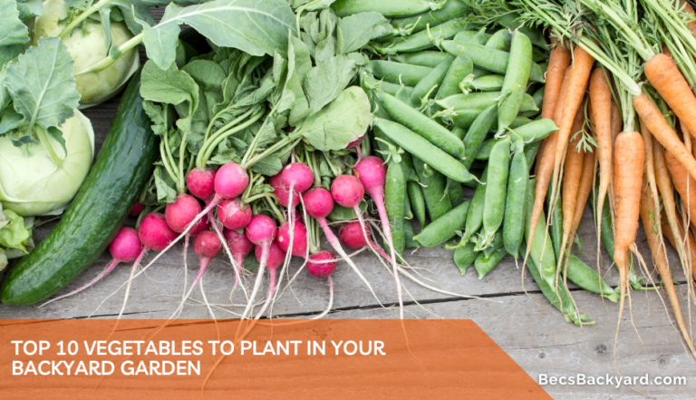 Top 10 Vegetables to Plant in Your Backyard Garden