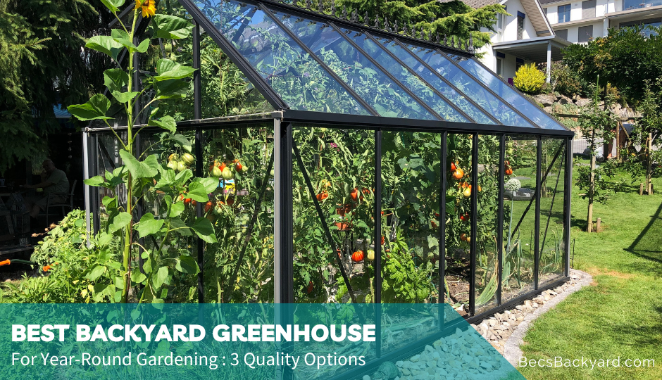 Best Backyard Greenhouse for Year-Round Gardening : 3 Quality Options