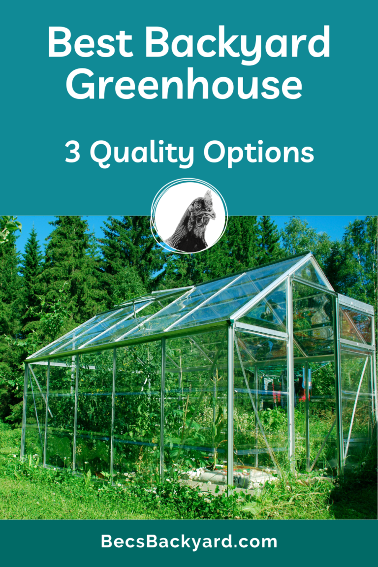 Best Backyard Greenhouse for YearRound Gardening 3 Quality Options