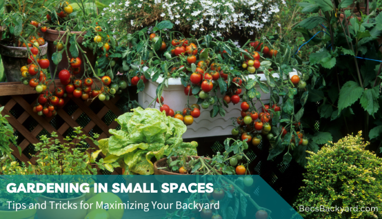 How to Garden in Small Spaces: Tips and Tricks for Maximizing Your Backyard