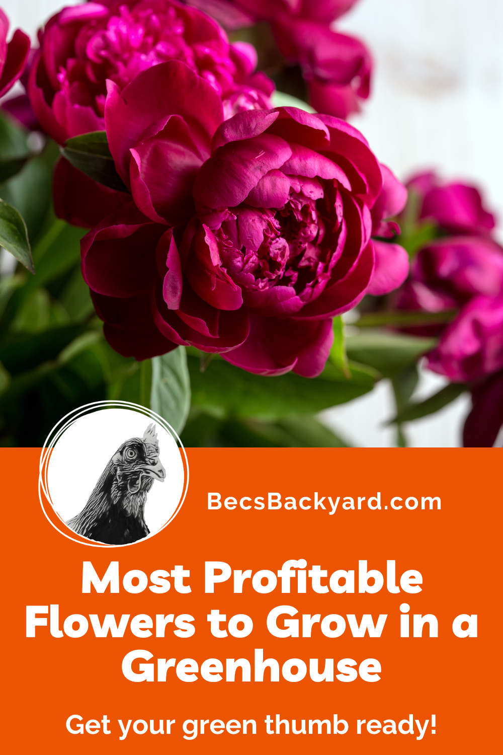 5 Most Profitable Flowers to Grow in a Greenhouse