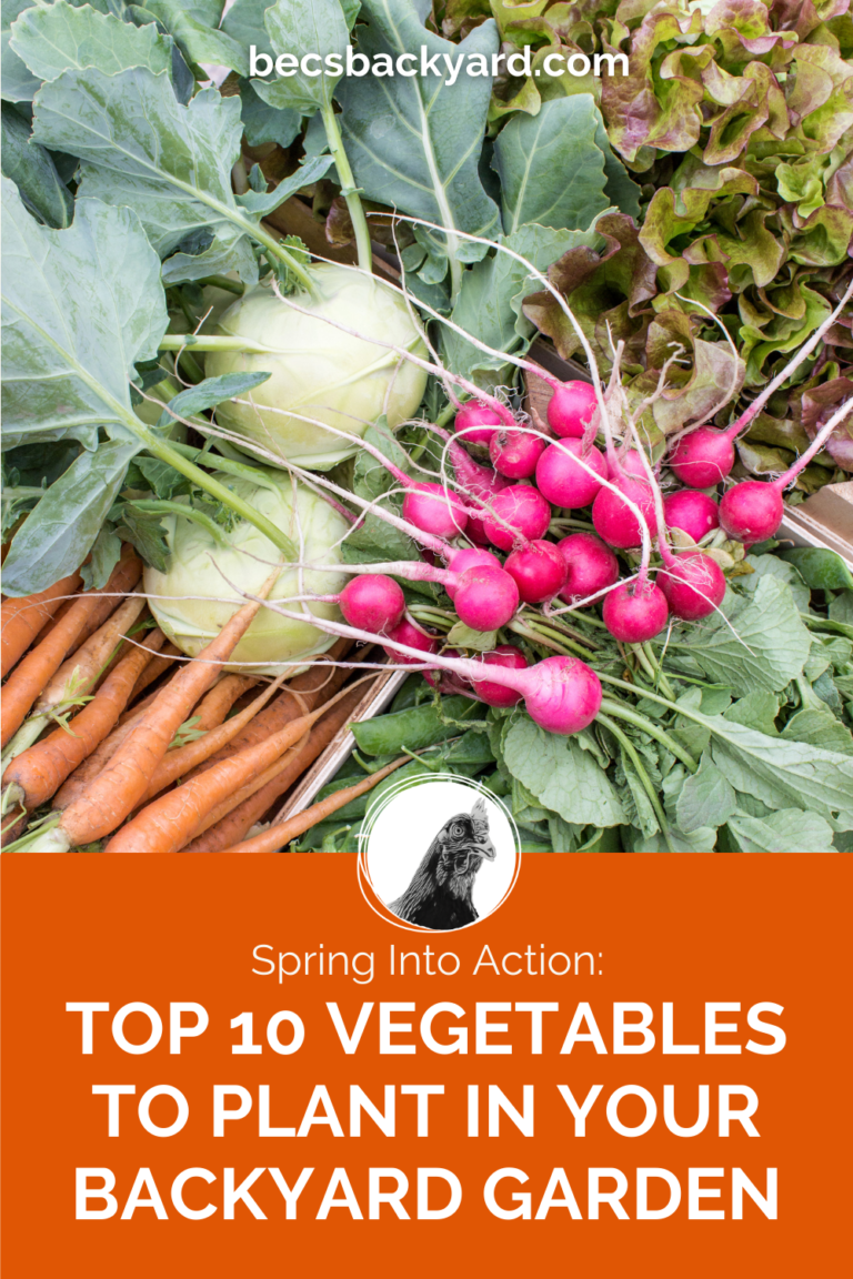 Top 10 Vegetables to Plant in Your Backyard Garden Becs Backyard