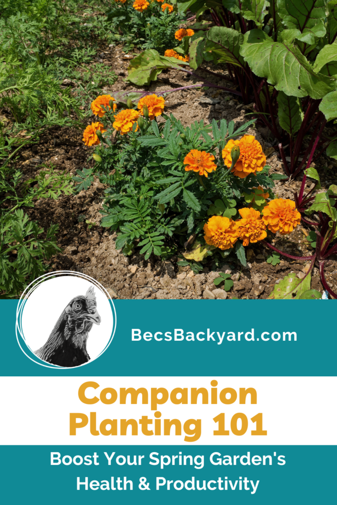 Companion Planting 101 Boost Your Spring Garden's Health and