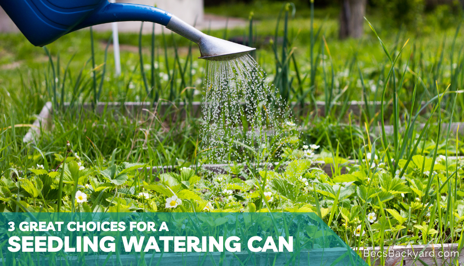 Seedling watering can