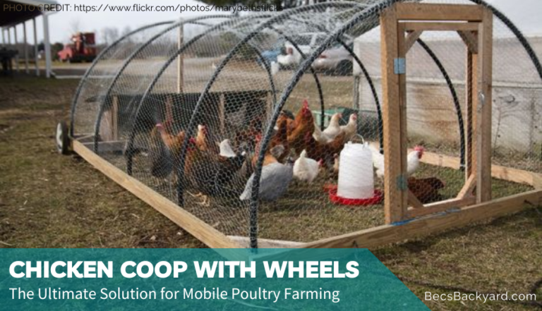 Chicken Coop with Wheels: The Ultimate Solution for Mobile Poultry Farming