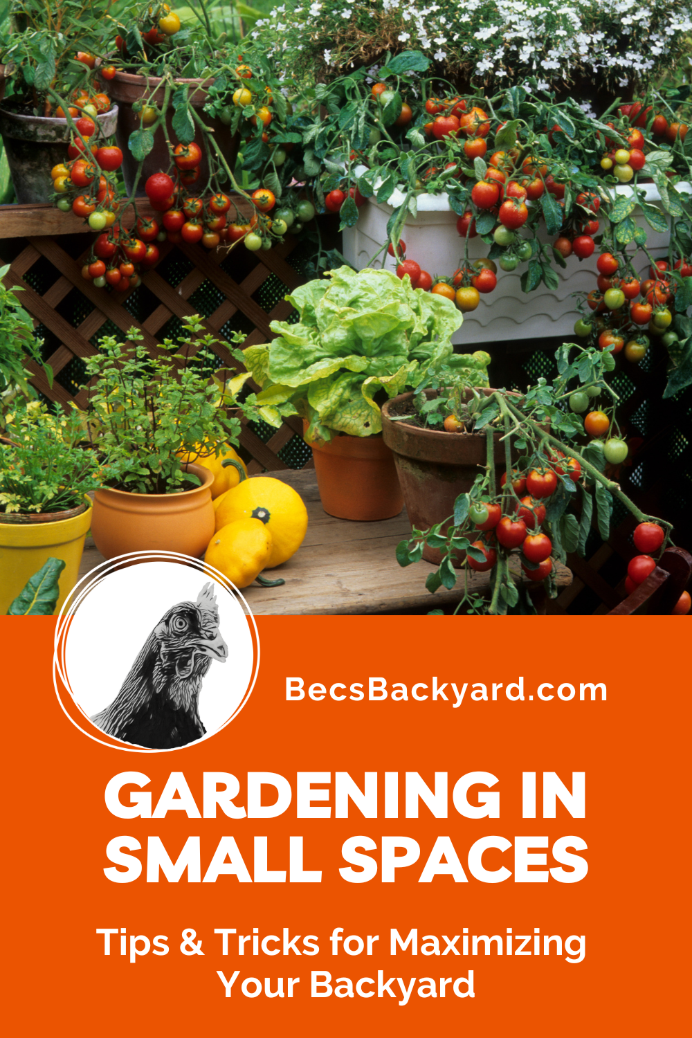 how-to-garden-in-small-spaces-tips-and-tricks-for-maximizing-your-backyard