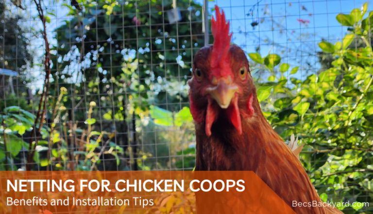 Netting for Chicken Coops: Benefits and Installation Tips