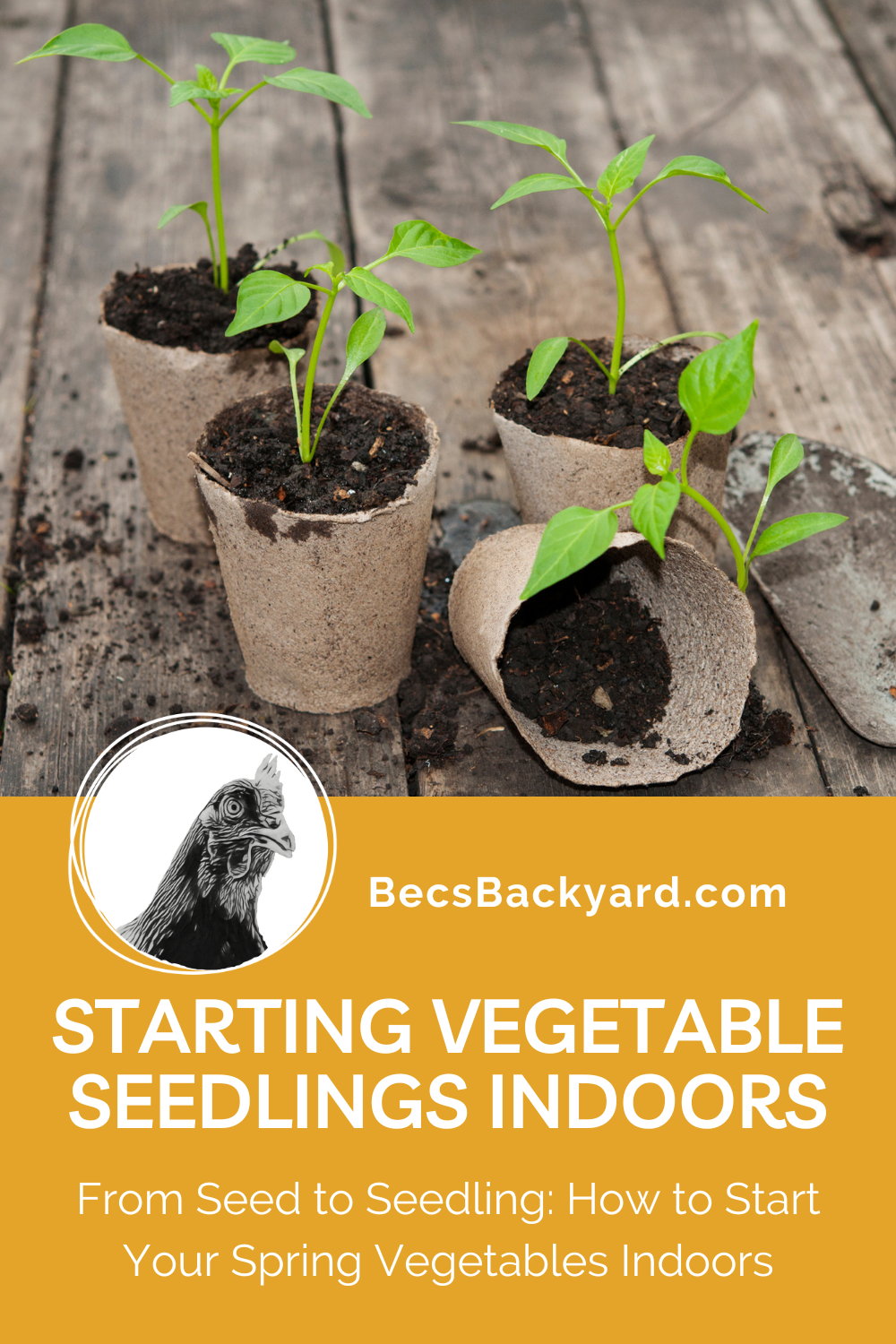 How to Master Starting Vegetable Seedlings Indoors in 2024