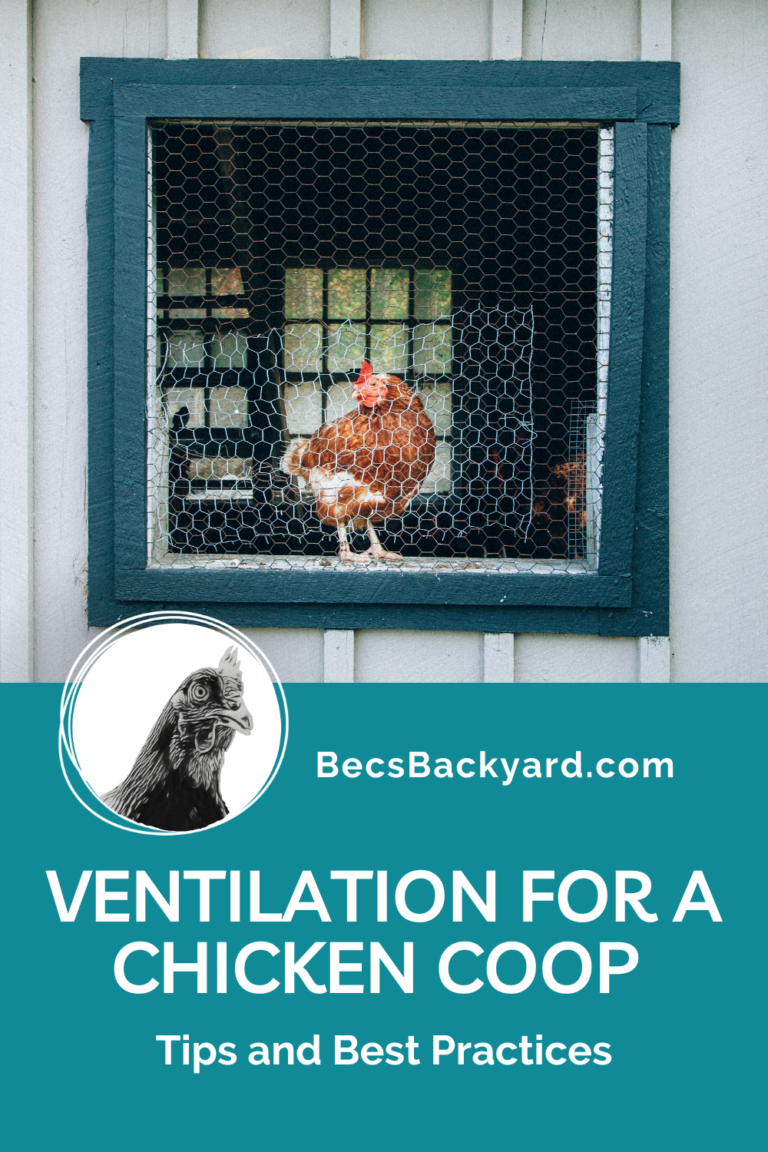 Ventilation for a Chicken Coop Tips and Best Practices Becs Backyard