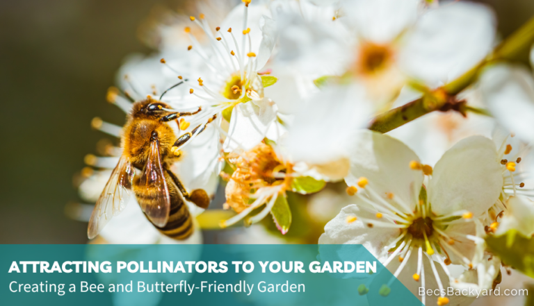 Attracting Pollinators to Your Garden: Creating a Bee and Butterfly-Friendly Garden