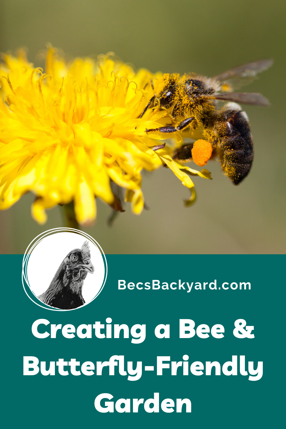 Attracting Pollinators to Your Garden Creating a Bee and Butterfly