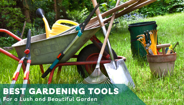 Best Gardening Tools for a Lush and Beautiful Garden