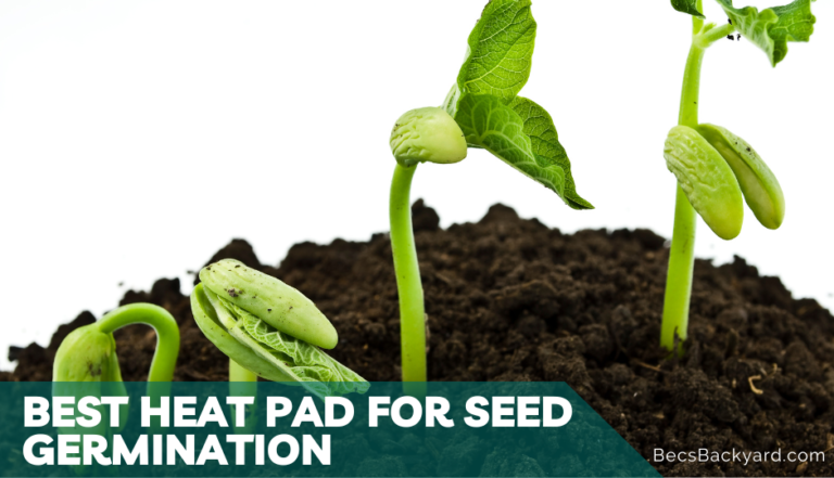 Best Heat Pad for Seed Germination: 4 Great Options