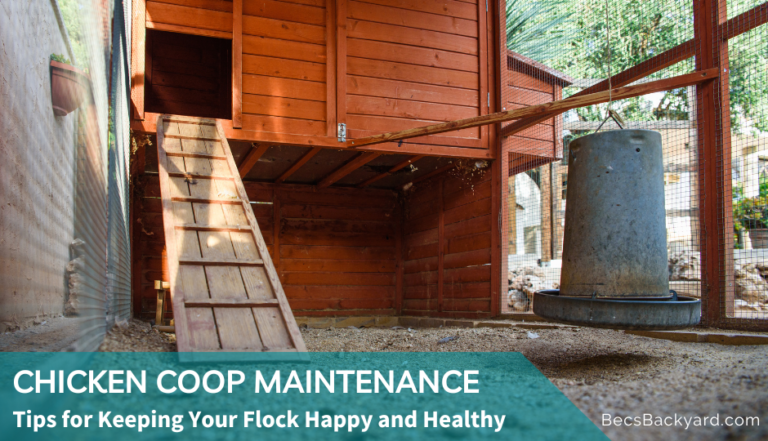 Chicken Coop Maintenance: Tips for Keeping Your Flock Happy and Healthy