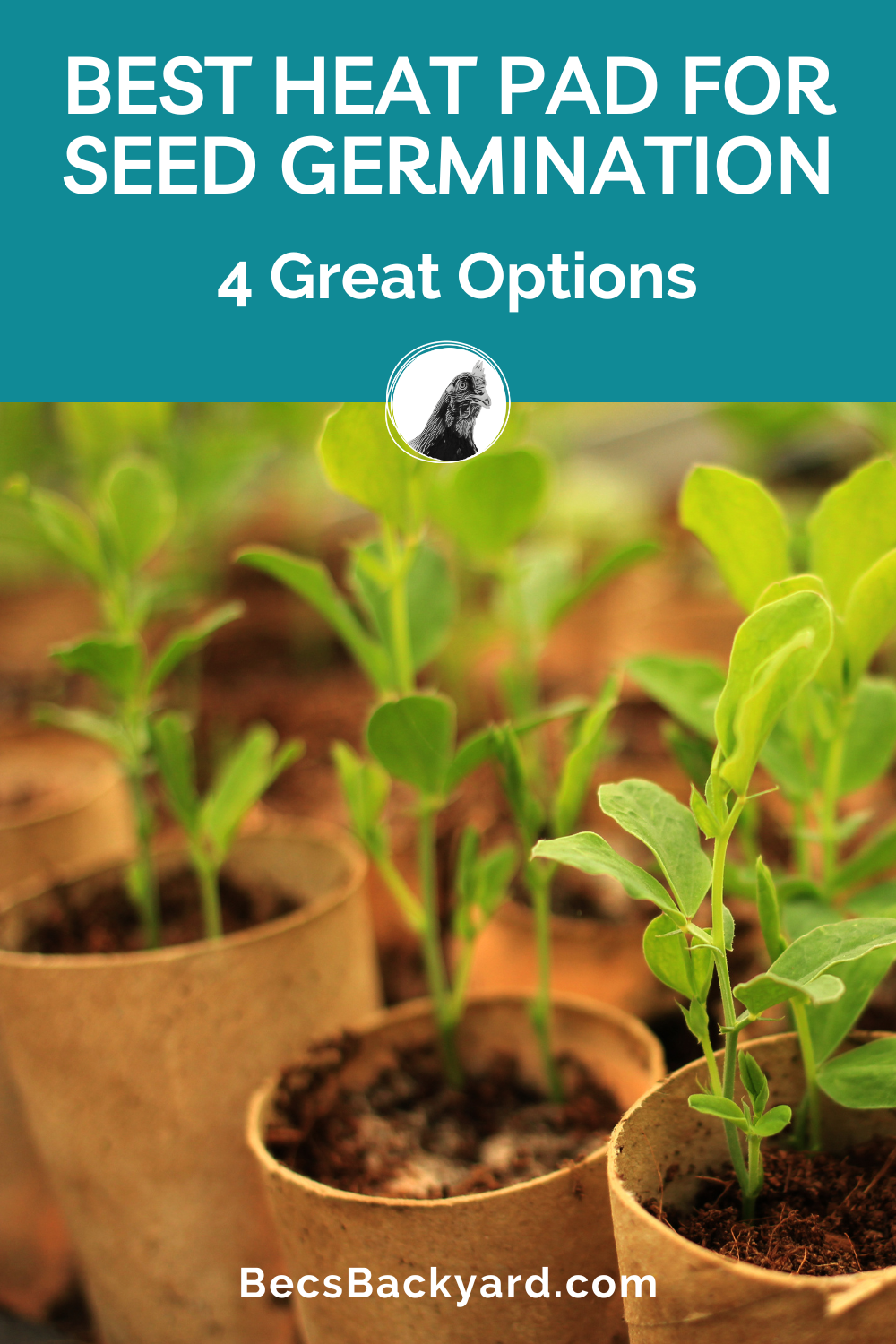 Best Heat Pad for Seed Germination 4 Great Options Becs Backyard