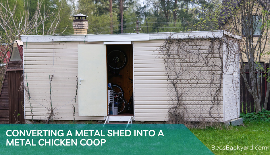 How to Convert a Metal Shed into a Metal Chicken Coop: A Comprehensive Guide