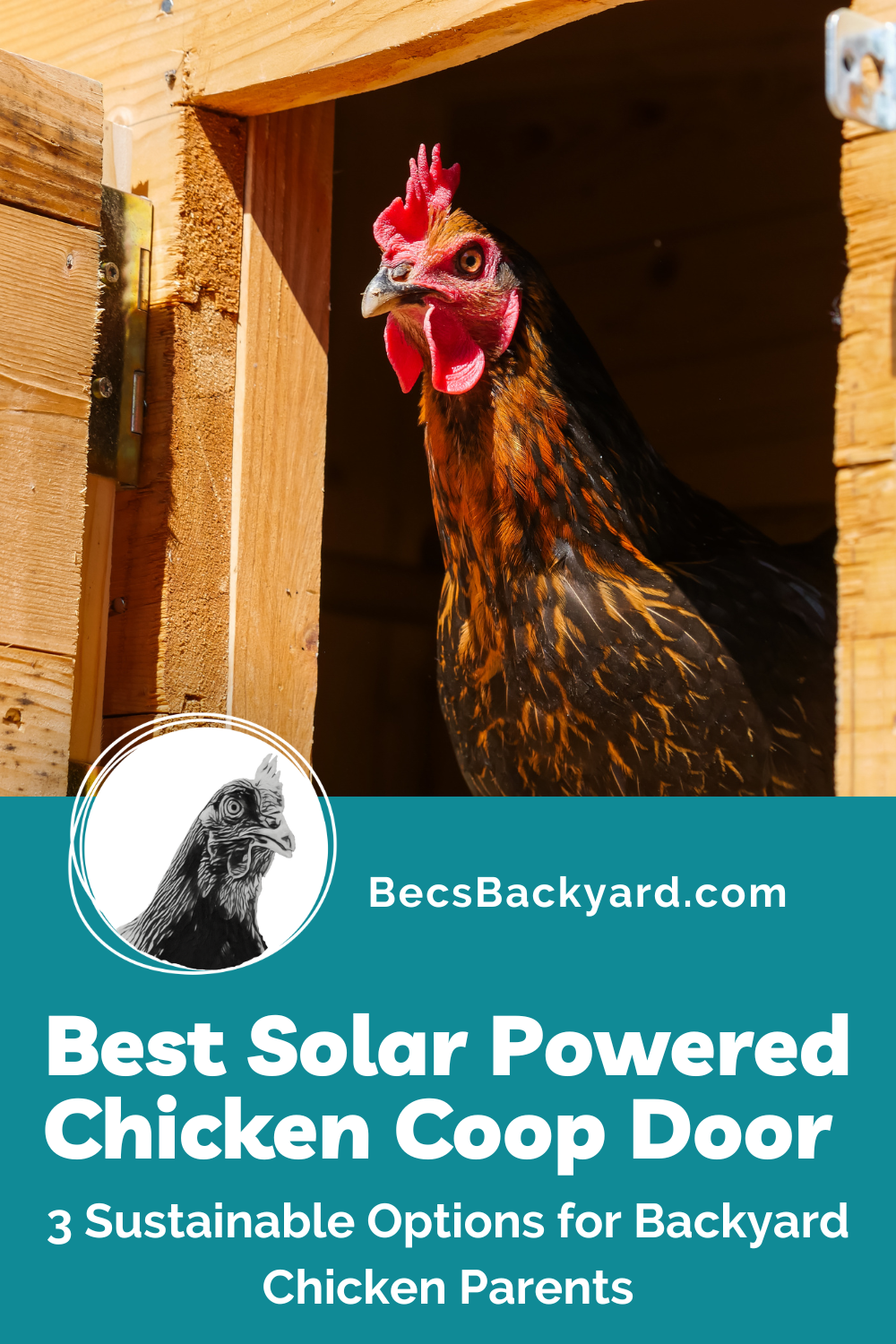 Best Solar Powered Chicken Coop Door 3 Sustainable Options for