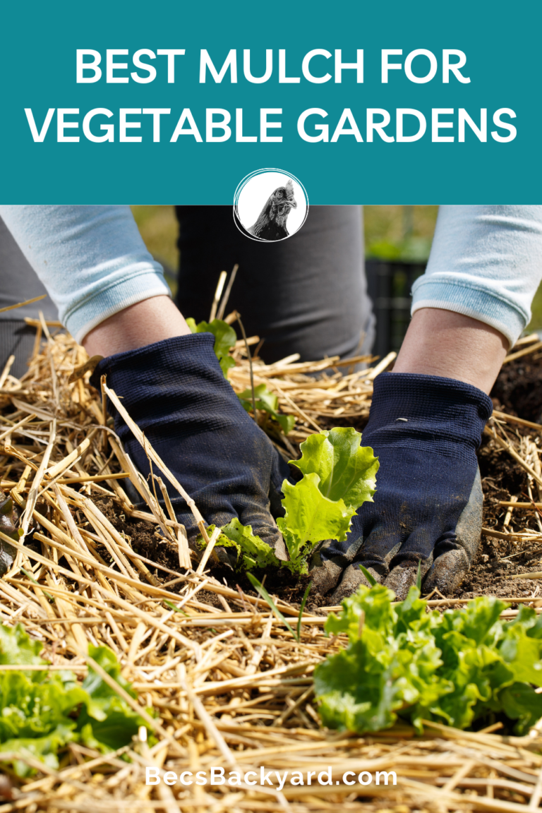 What is the Best Mulch for Vegetable Gardens?