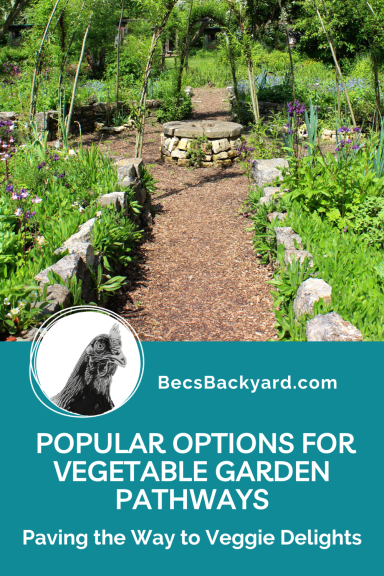 Popular Options for Vegetable Garden Pathways Paving the Way to