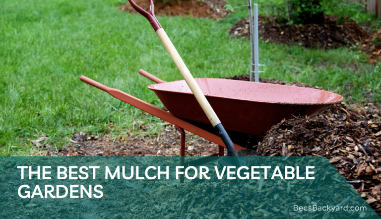 What is the Best Mulch for Vegetable Gardens?