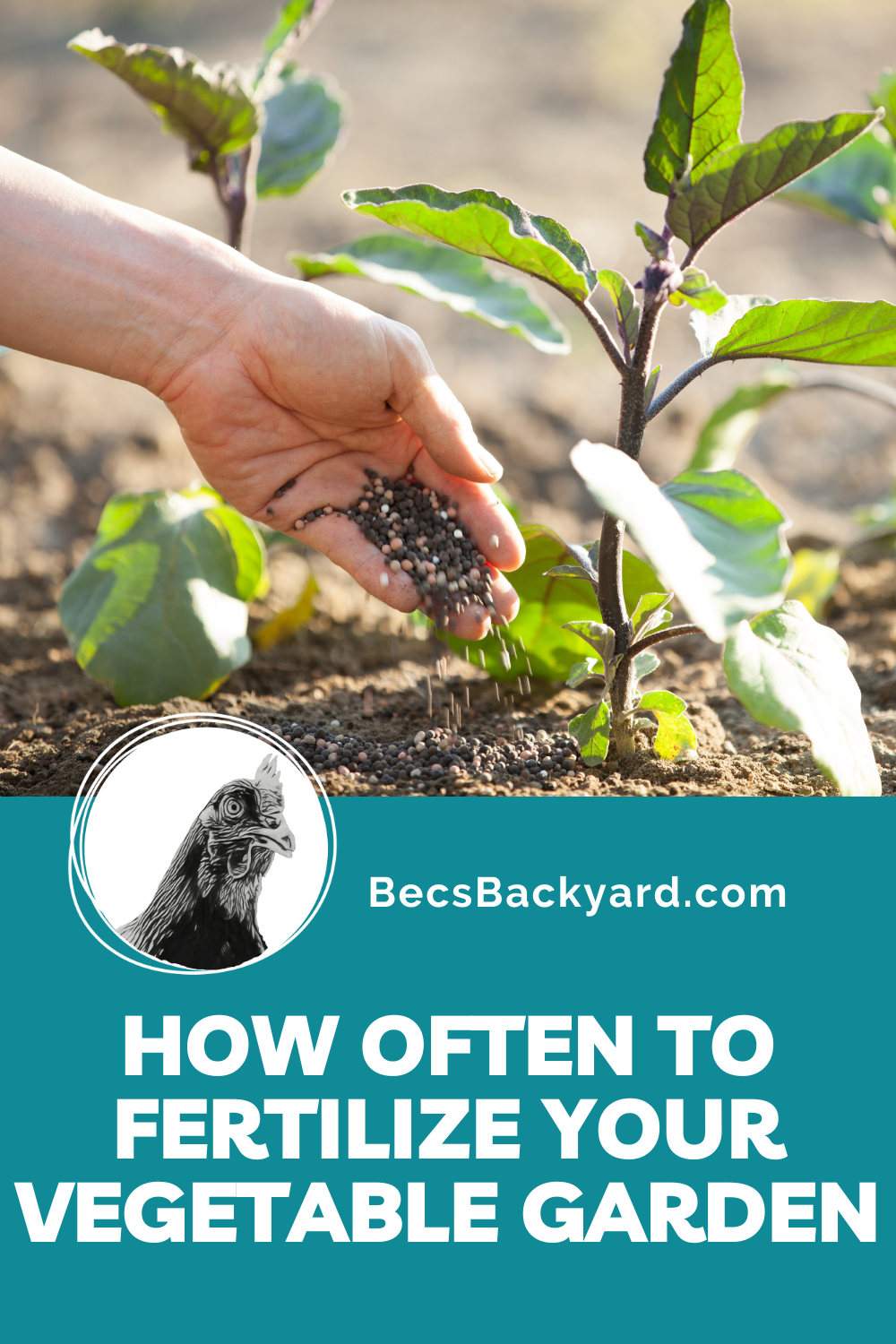 How Often To Fertilize Your Vegetable Garden: A Complete Guide