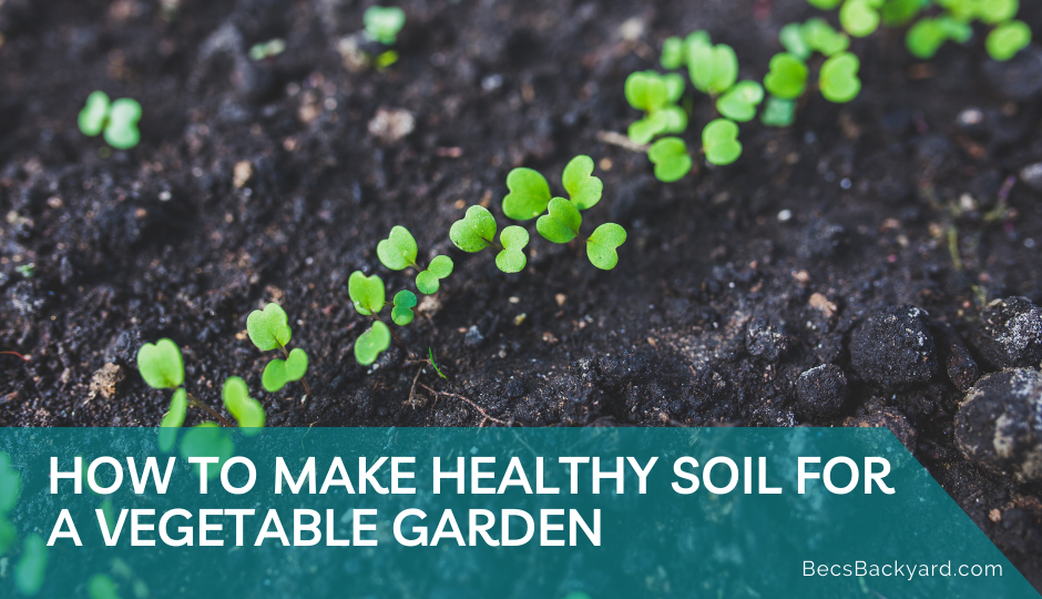 How to Make Healthy Soil for a Vegetable Garden: A Beginner’s Guide
