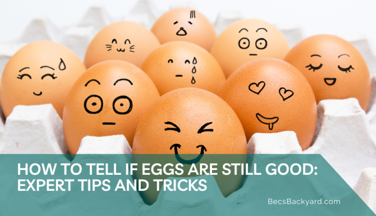 How to Tell If Eggs Are Still Good: Expert Tips and Tricks