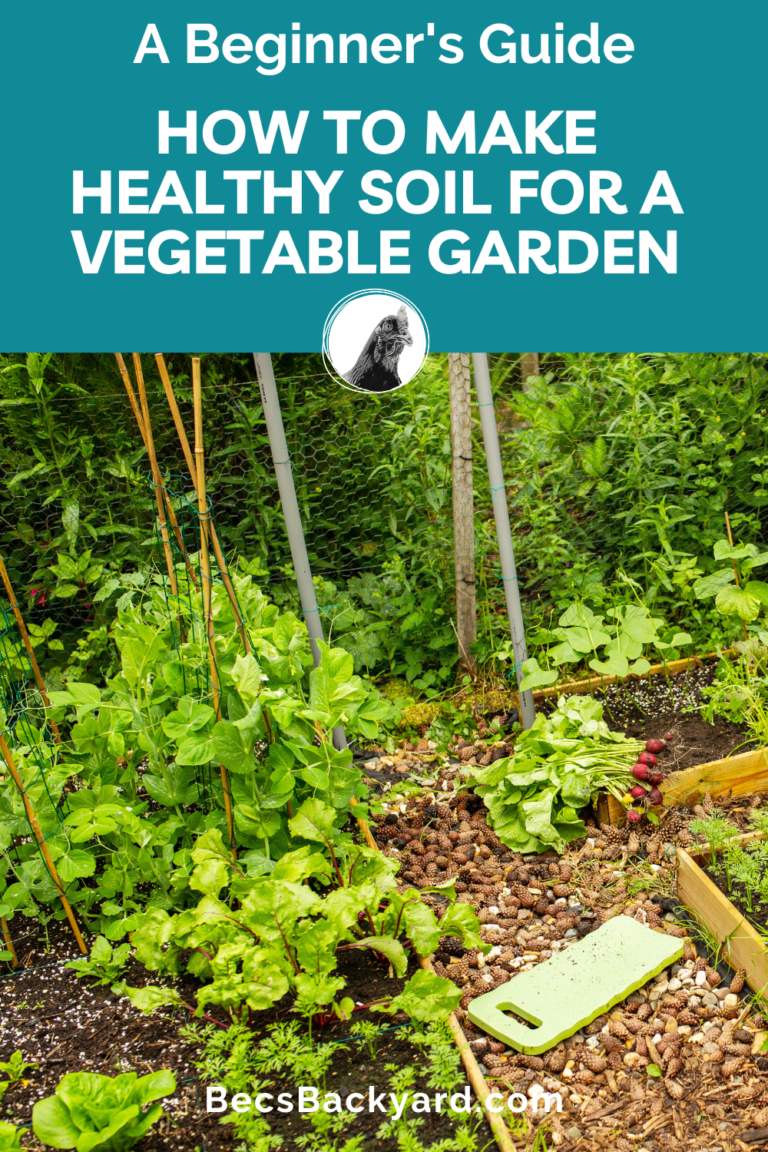 How to Make Healthy Soil for a Vegetable Garden A Beginner's Guide