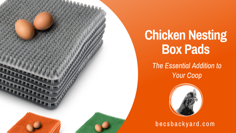 Chicken Nesting Box Pads: The Essential Addition to Your Coop