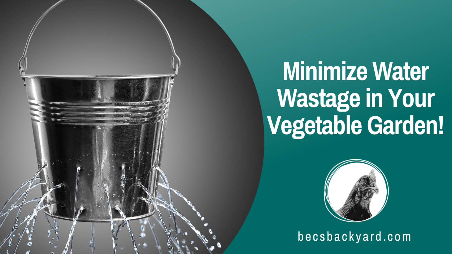 Things You Can do to Minimize Water Wastage in Your Vegetable Garden