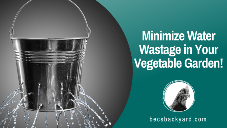 Things You Can do to Minimize Water Wastage in Your Vegetable Garden: Tips and Tricks