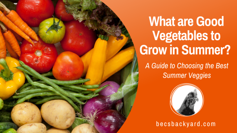 What are Good Vegetables to Grow in Summer? A Guide to Choosing the Best Summer Veggies
