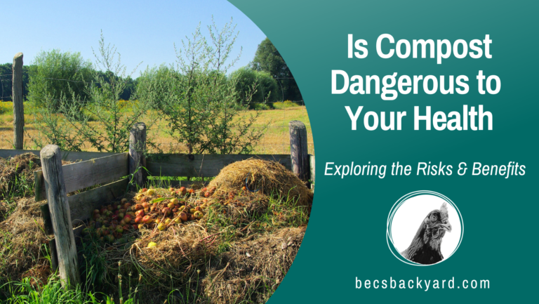 Is Compost Dangerous to Your Health? Exploring the Risks and Benefits