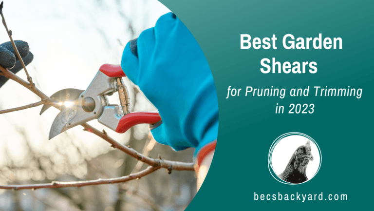 5 Best Garden Shears for Pruning and Trimming
