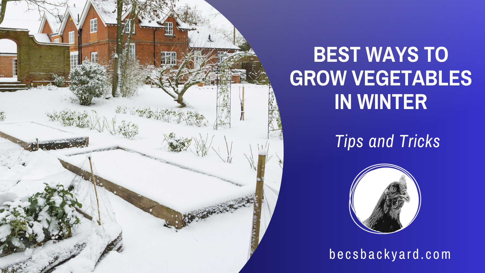 Best Ways to Grow Vegetables in Winter