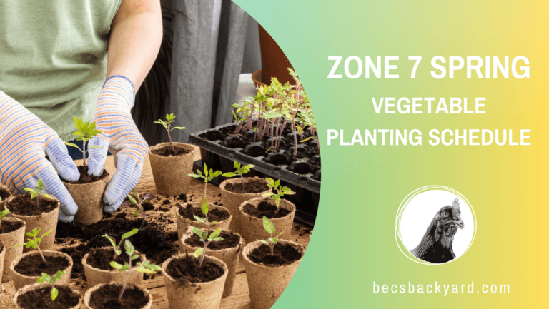 Zone 7 Spring Vegetable Planting Schedule: Your Guide to Timely Garden Success