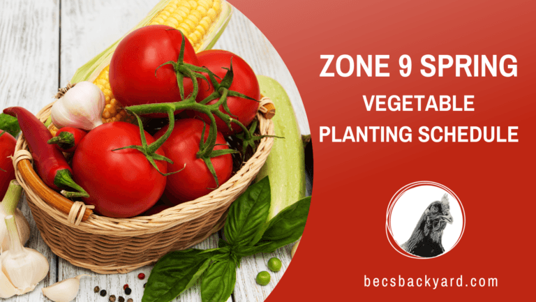 Zone 9 Spring Vegetable Planting Schedule: Your Guide to a Successful Harvest