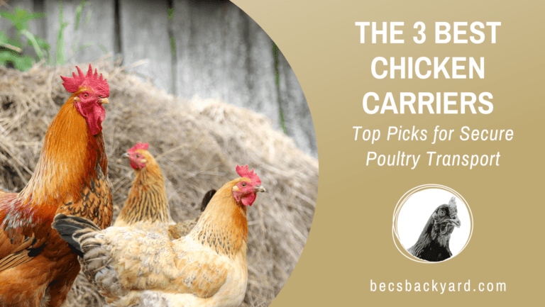 The 3 Best Chicken Carriers: Top Picks for Secure Poultry Transport