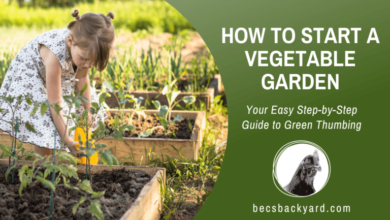 How to Start a Vegetable Garden: Your Easy Step-by-Step Guide to Green Thumbing