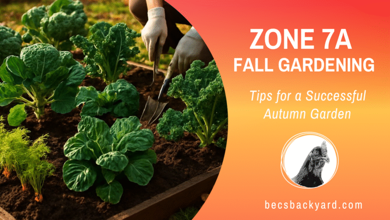 Zone 7a Fall Gardening – Tips for a Successful Autumn Garden 1 Zone 7a Fall Gardening