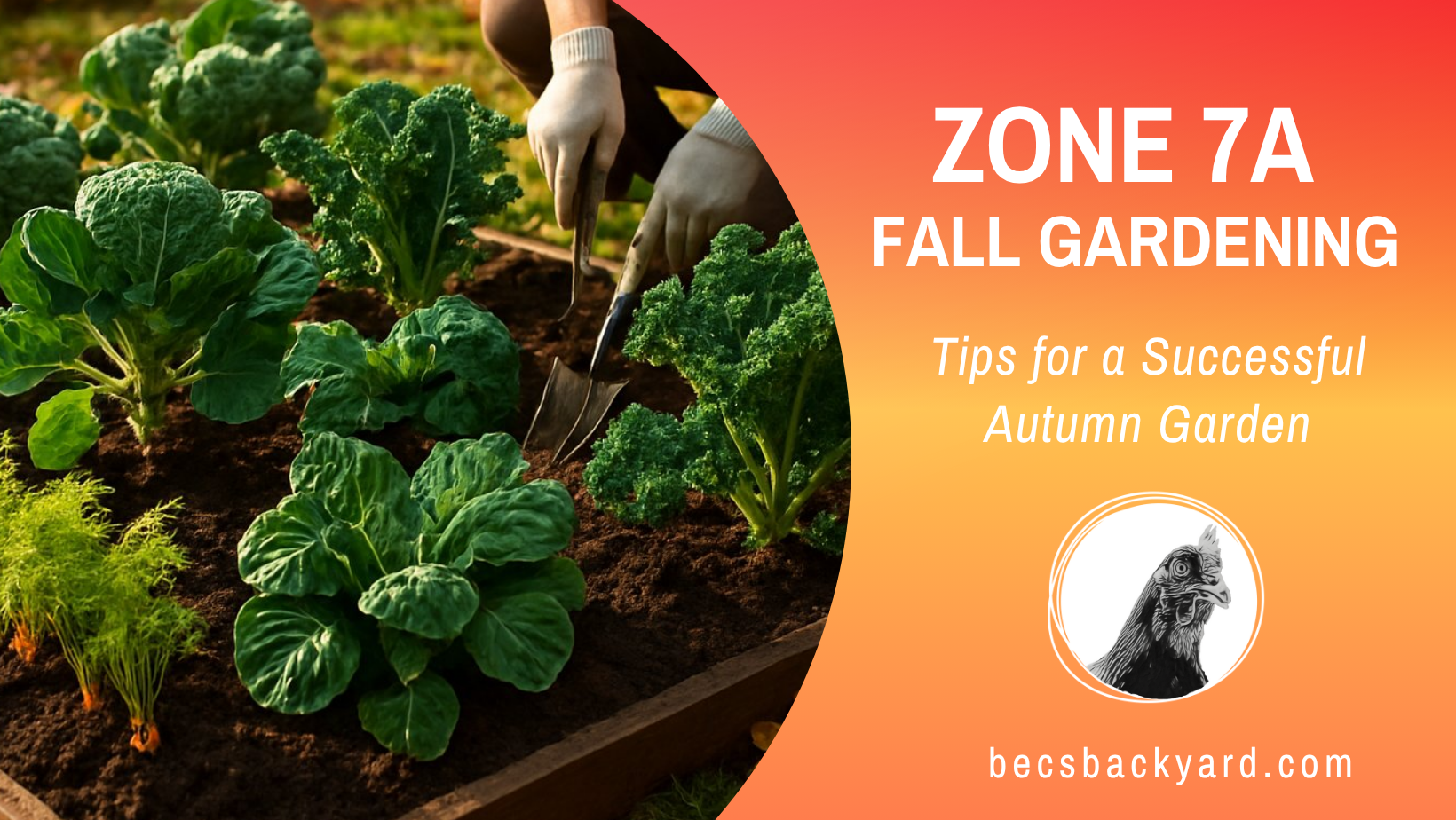 Zone 7a Fall Gardening